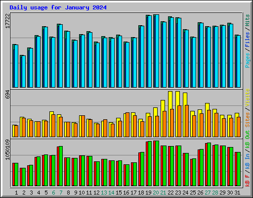 Daily usage for January 2024