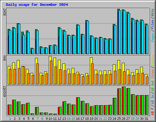 Daily usage for December 2024