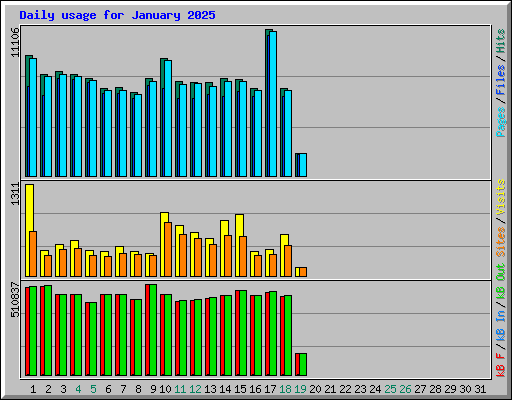 Daily usage for January 2025