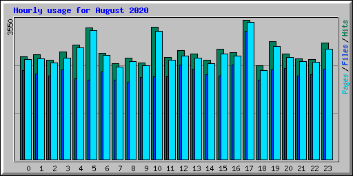 Hourly usage for August 2020