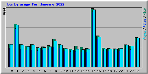 Hourly usage for January 2022