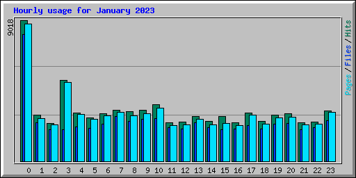 Hourly usage for January 2023