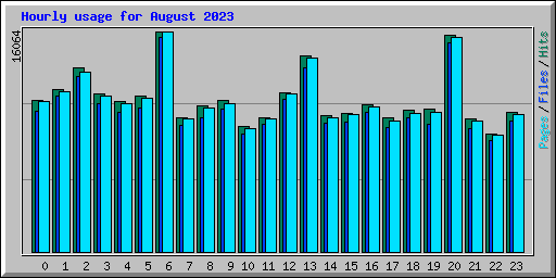 Hourly usage for August 2023