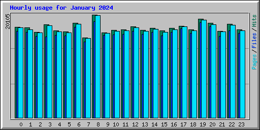 Hourly usage for January 2024