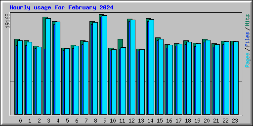 Hourly usage for February 2024