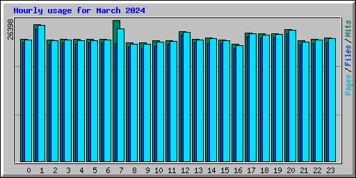 Hourly usage for March 2024