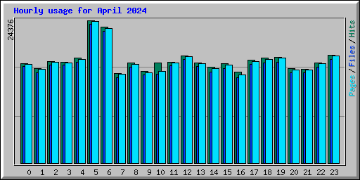 Hourly usage for April 2024