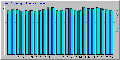 Hourly usage for May 2024