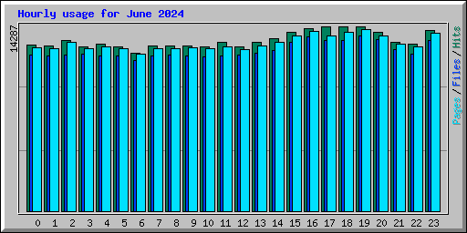 Hourly usage for June 2024