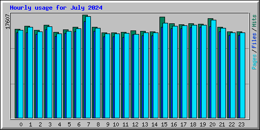 Hourly usage for July 2024