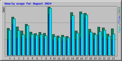 Hourly usage for August 2024