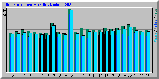 Hourly usage for September 2024