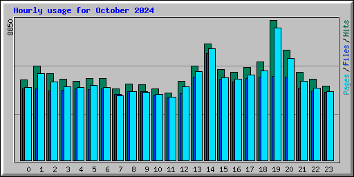 Hourly usage for October 2024