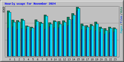 Hourly usage for November 2024