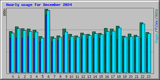 Hourly usage for December 2024