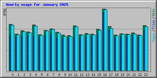 Hourly usage for January 2025