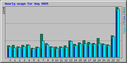Hourly usage for May 2025
