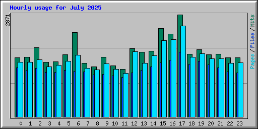 Hourly usage for July 2025