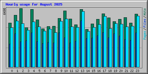 Hourly usage for August 2025
