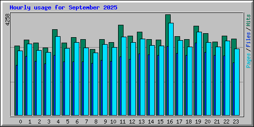 Hourly usage for September 2025