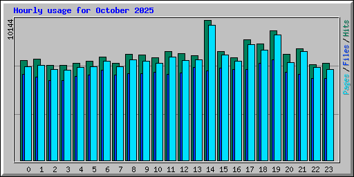 Hourly usage for October 2025