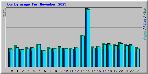 Hourly usage for November 2025