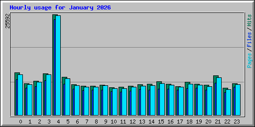 Hourly usage for January 2026