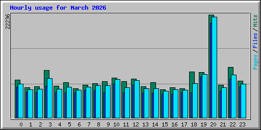 Hourly usage for March 2026