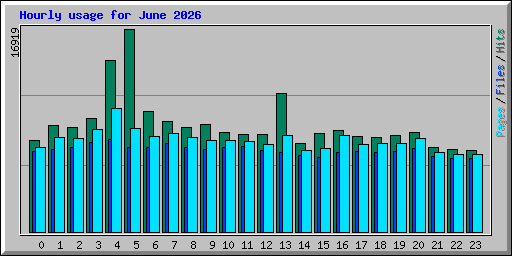 Hourly usage for June 2026
