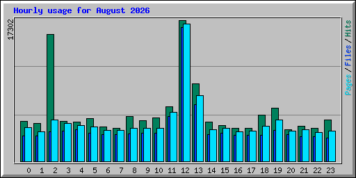 Hourly usage for August 2026